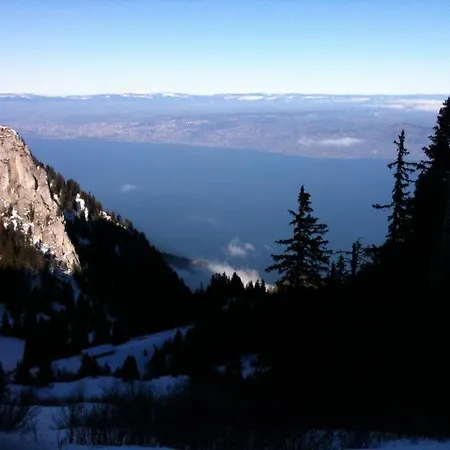 Quality Mountain Family